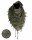 Halstuch Shemagh 110x110cm Paratrooper Wings Scarf Schal Plo Kopftuch Army Para
