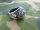 US Army USMC Marines Corps Insignia Ring 1775 Jun Tavern 1945 Iwo Jima WK2 Gr 13