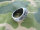 US Army USMC Marines Corps Insignia Ring 1775 Jun Tavern 1945 Iwo Jima WK2 Gr 13