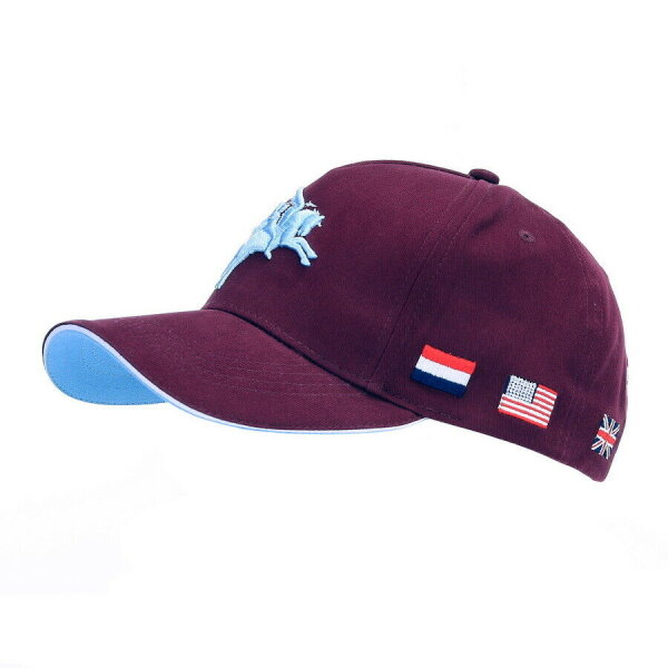 British Army 3D Baseball Cap Pegasus Parachute Regiment Paratrooper Division WK2