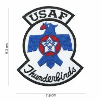 US Army Thunderbirds USAAF Patch Airforce Pilot Wings...