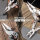 Task Force 2215® MultiTool 16-in-1 Set Schere Zange Messer Öffner Säge