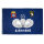 US Army Flag 101st 82nd Airborne Paratrooper Senior Pilot Wings