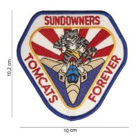 US Army Patch Wildcat Tomcats Sundowner Forever
