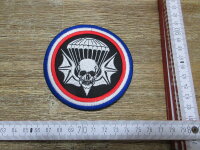 US Army WWII 502nd PIR Parachute Infantry Regiment Patch...