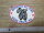 Patch Motorcycle Hill Climbing Weirs Beach NH USA Vintage Bikes Est 1916