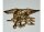 US Army Navy Seals Badge Hat pin Insignia Visor Hat Marines USMC WK2 WKII WW2 #1