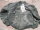 F-35 Fliegerjacke Bomberjacke Pilotenjacke US Army Airforce USAAF