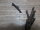Original US Army Putzschnur Putzzeug US30 M-1 Carbine Rifle Reinigungsset