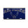 License Plate US Air Force Insignia Wings Schild