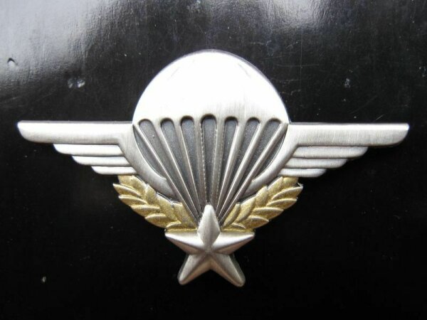 French Army Paratrooper Airborne Wings Abzeichen Para Pin Fallschirmj&auml;ger WWII