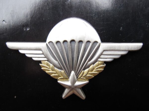 French Army Airborne Paratrooper Pin
