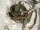 Strap for Gasmask