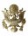 US Army Mützenabzeichen Army Officer Gold