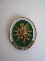 Pin Heeresbergführer Abzeichen mit Edelweiß