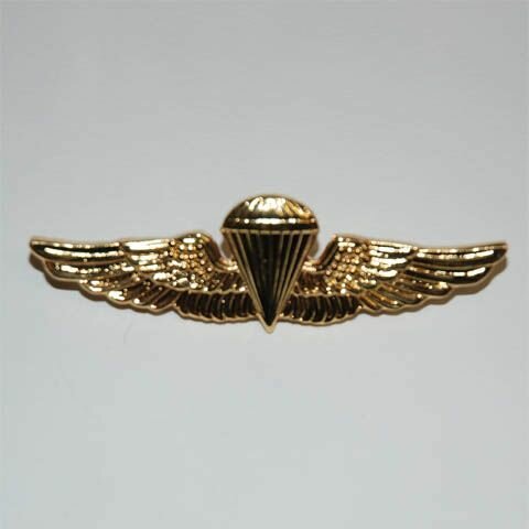 Airforce Paratrooper Wings Insignia Badge