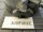 Stencil Lackier Schablone AIRFORCE