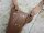 WWI WK1 C96 Holster Red 9 Leathercase Bandolier