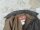 US Army A2 Fliegerjacke Cooper Lederjacke Pilotenjacke Airforce USAAF US 46R #1